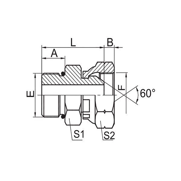 公制外螺纹O形圈/英制内螺纹60°外锥面  2HB-N